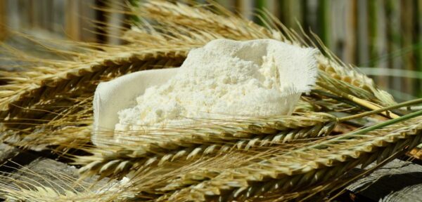 flour, grain, spike-1528338.jpg